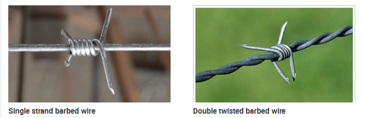 Hot Dipped Galvanized Barbed Wire fence,barbed wire,single coil barbed wire