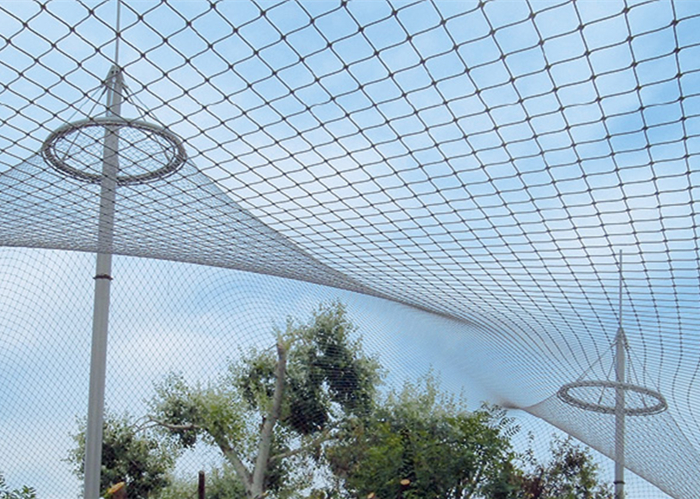 AISI 316 stainless steel cable mesh for aviary mesh