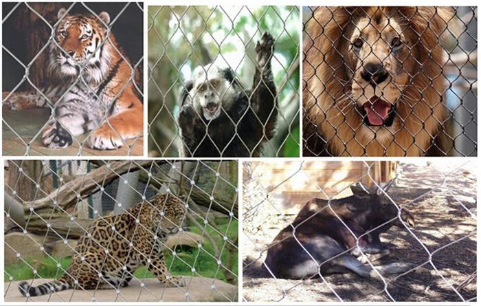 SS architectural mesh structures  Mesh Zoo Structures/robust Enclosure Solutions